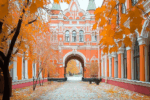 Thumbnail for the post titled: Дополнительный заработок для студентов с инвалидностью: что реально доступно